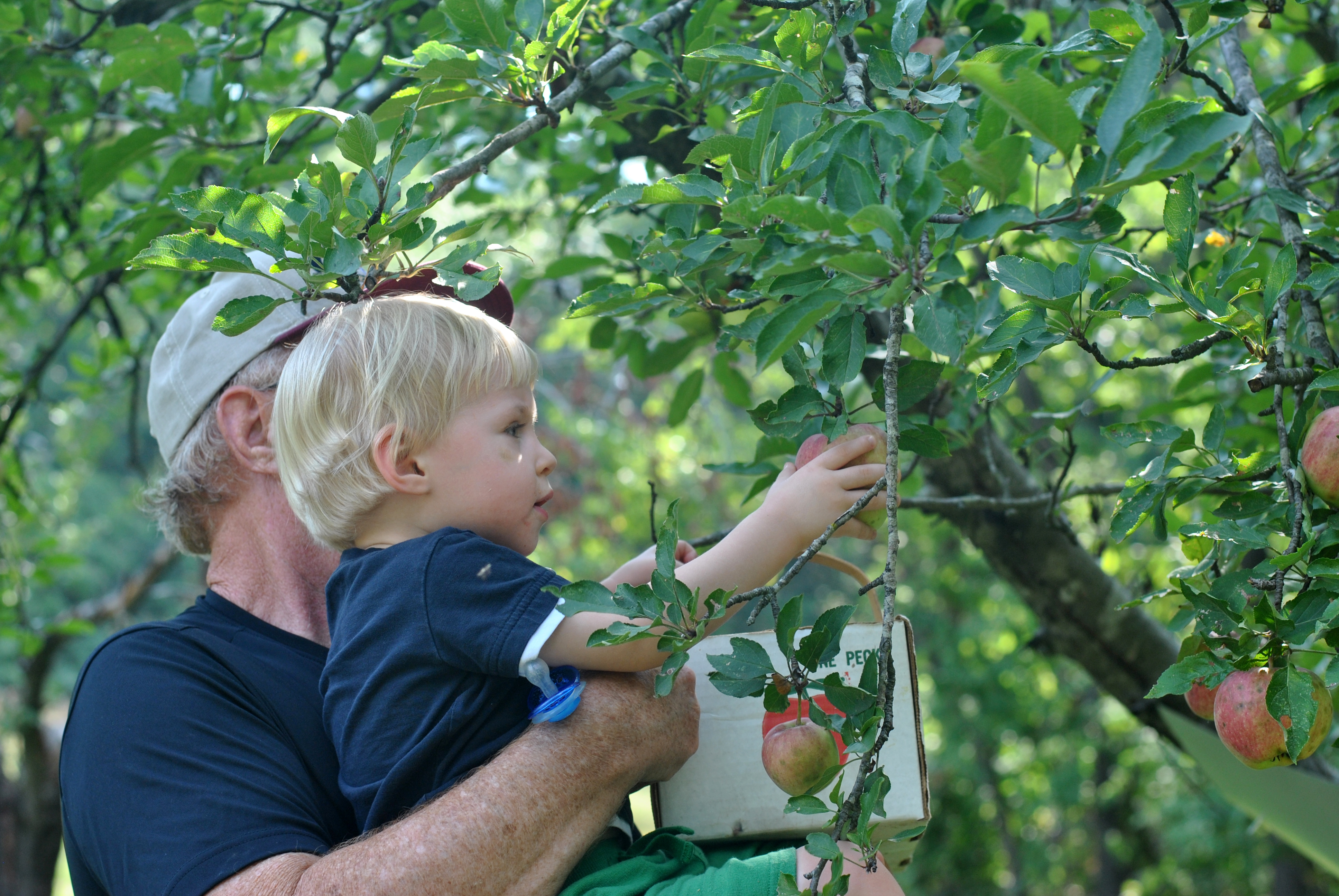 A Gardening We Shall Go